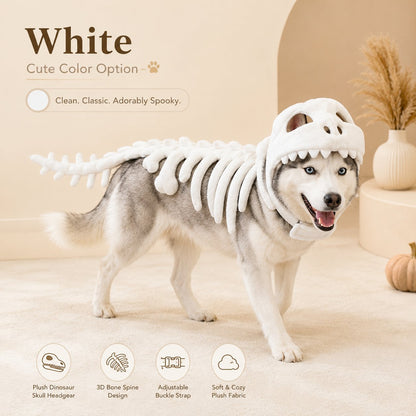 🦖 Glow In Dark Dinosaur Skeleton Dog Costume