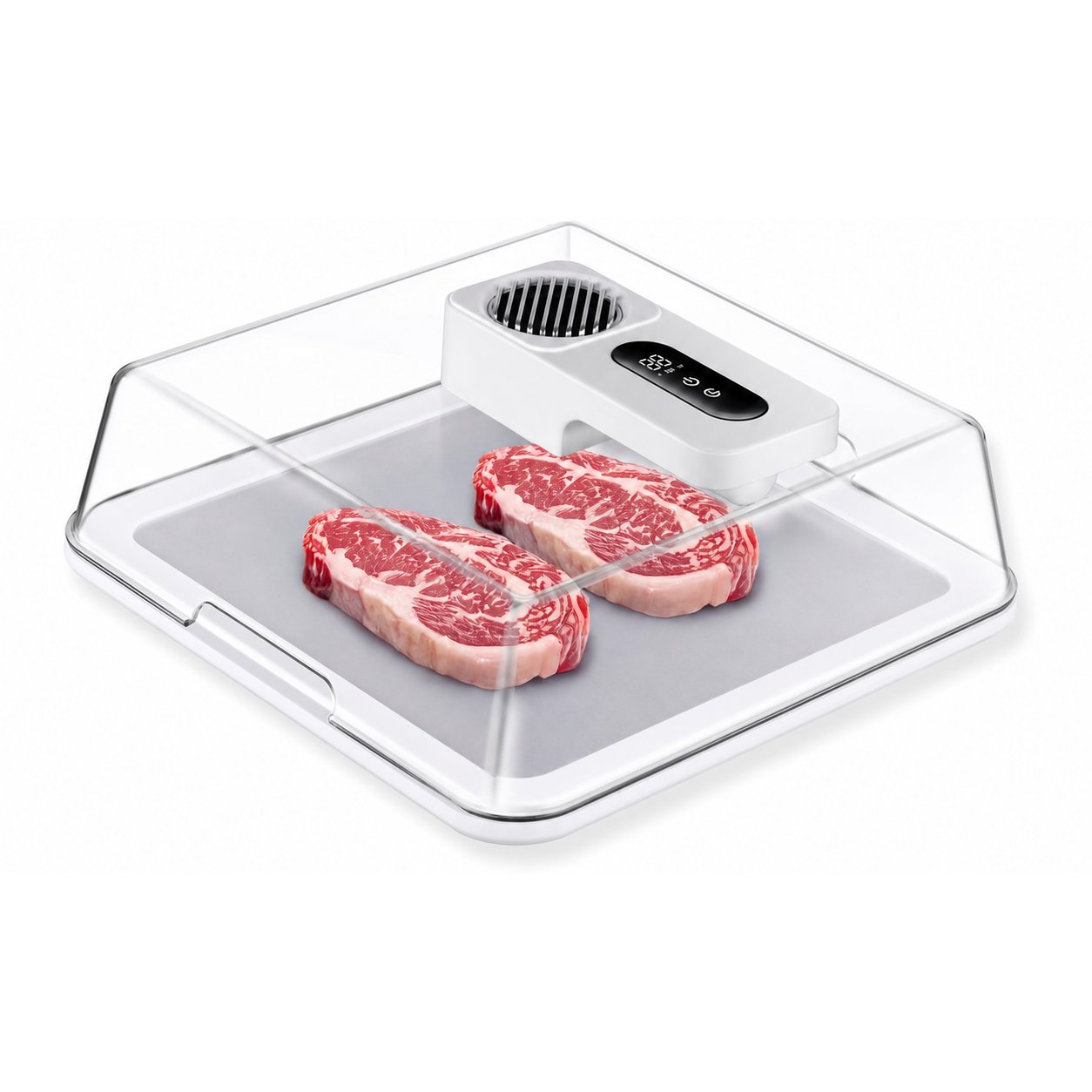 Rapid Thaw Defrosting Box with Timer