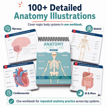 Anatomy Label Lab Workbook – Reusable Anatomy Study Guide