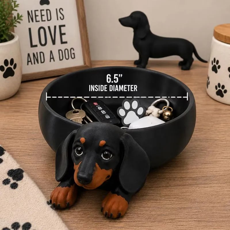 🔥🔥Last Day 49% OFF🔥Dachshund Catch All Tray