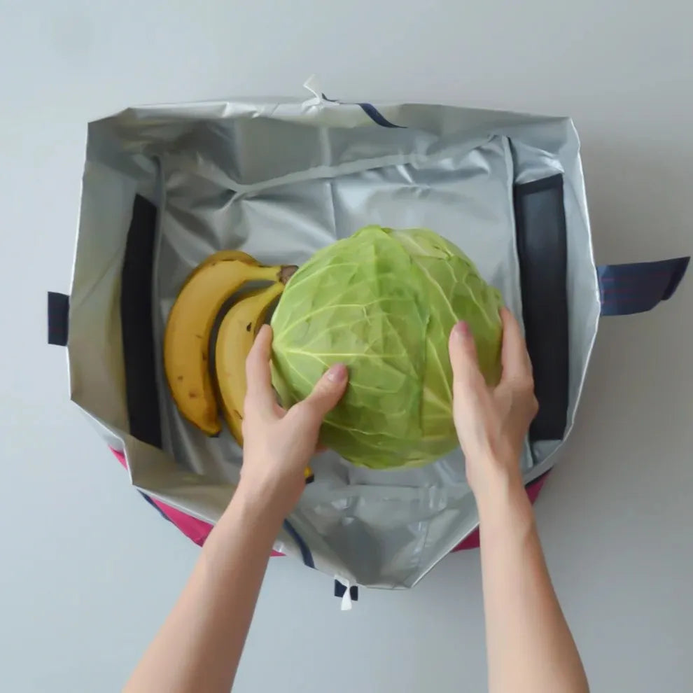 ORIBA Foldable Insulated Grocery Bag