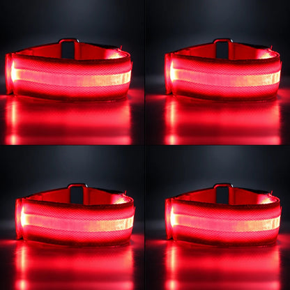 🐎 Horse LED Leg Straps – 4 Pack | Rechargeable-Look Night Riding Safety Lights ✨
