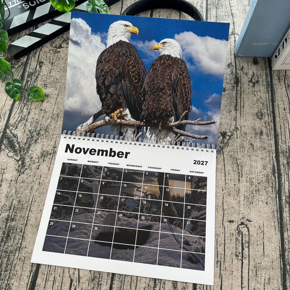 Jackie & Shadow 2027 Bald Eagle Wall Calendar