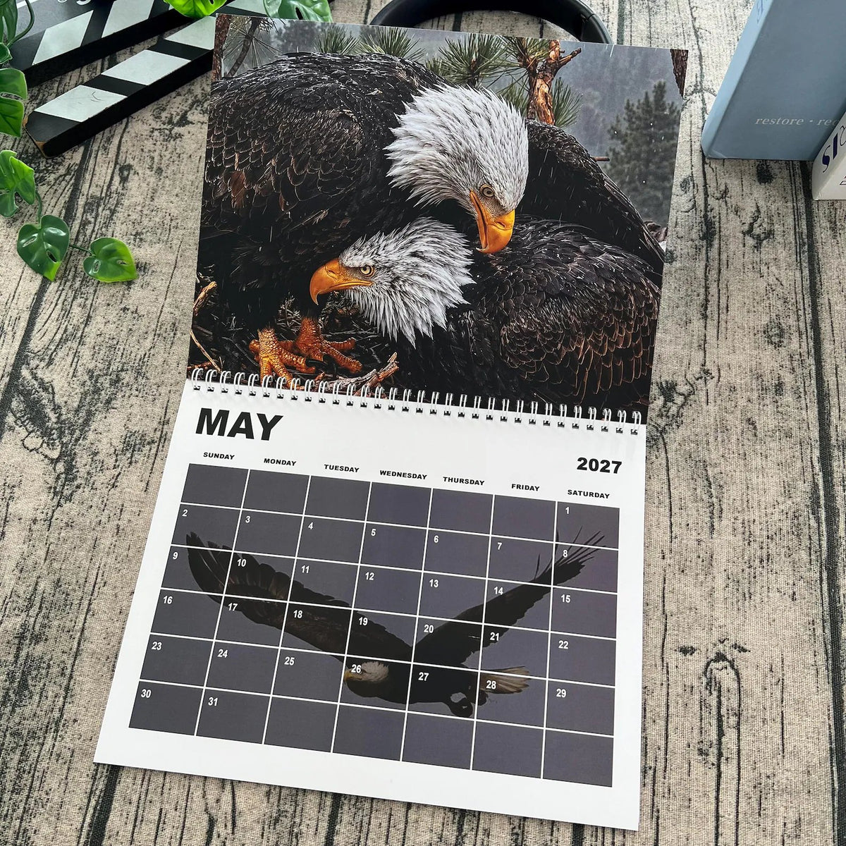 Jackie & Shadow 2027 Bald Eagle Wall Calendar