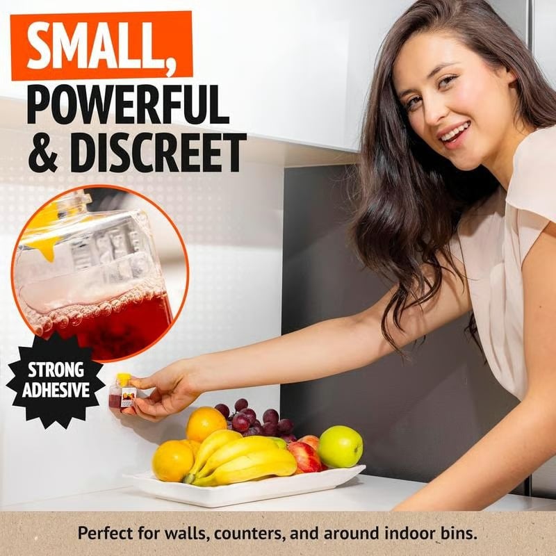 🏆Buy 2 Get 1 Free🔥Fruit Fly Traps- safe for children and pets