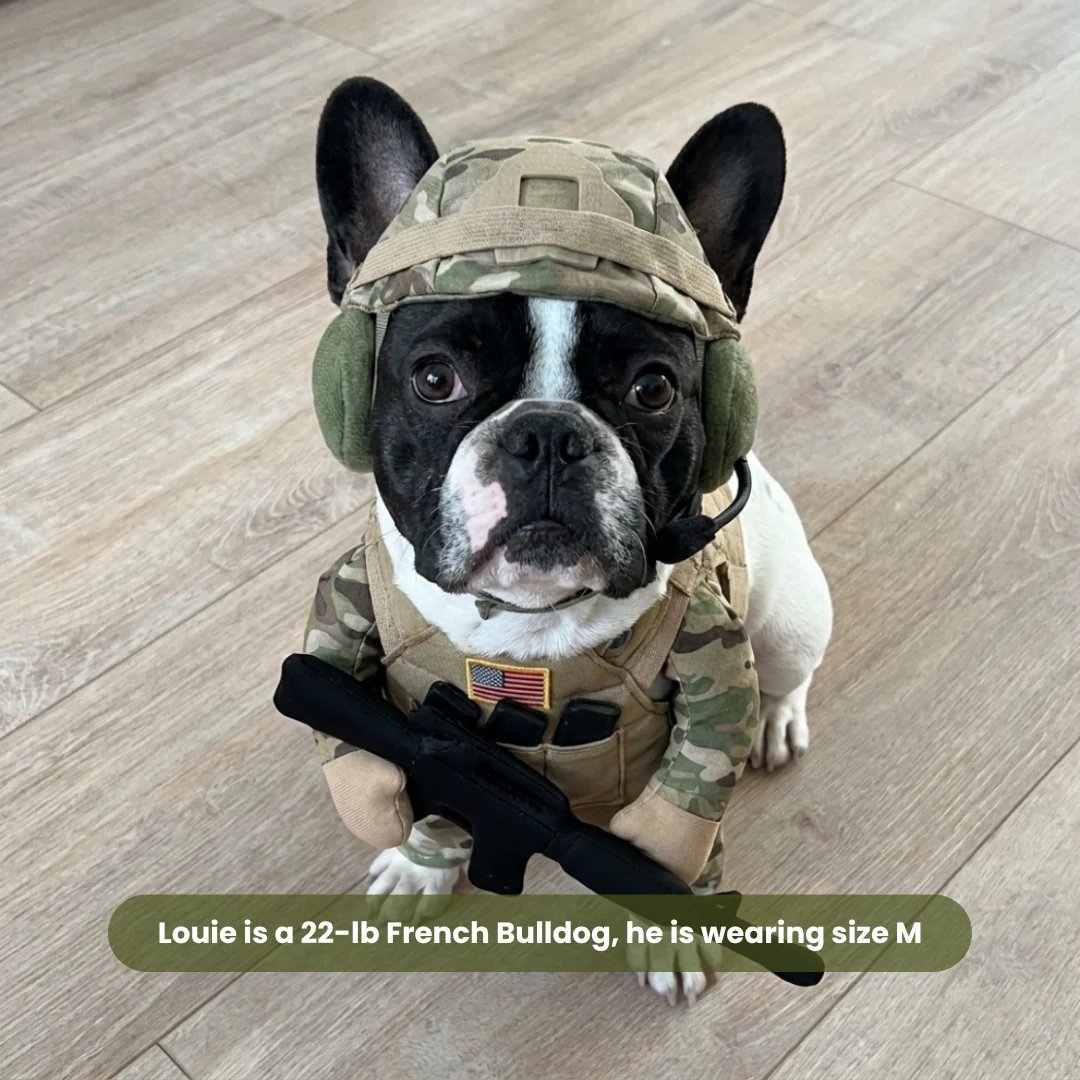 🔥Hilarious Tactical Soldier Pet Costume – Front-Facing Military Uniform for Dogs & Cats