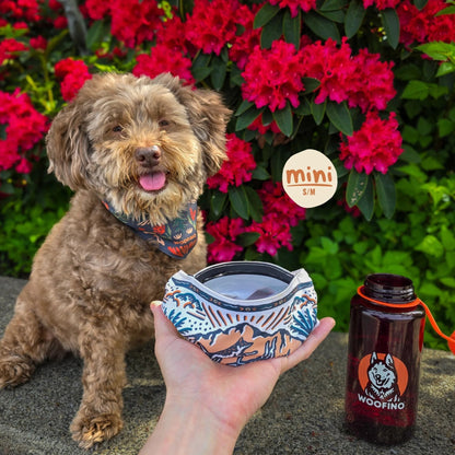 🐶2-in-1 Reversible Dog Bandana Bowl
