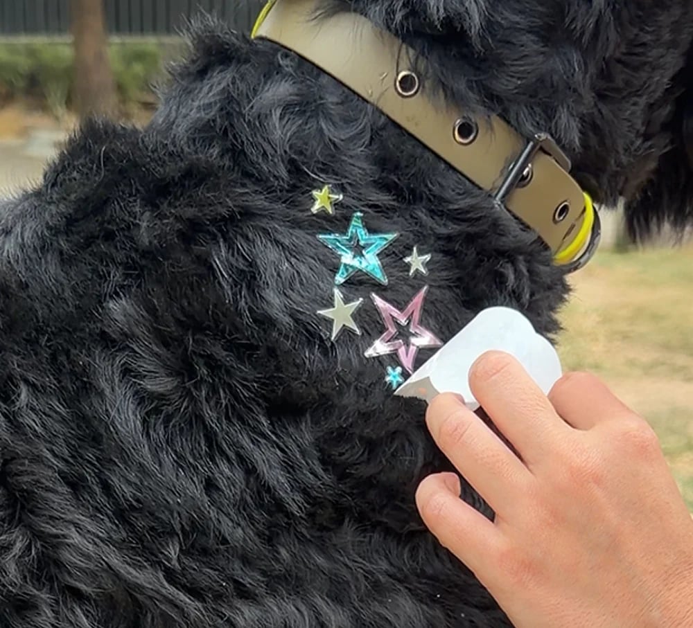 💫Temporary Dog Fur Tattoos – Waterproof, Pet-Safe & Easy to Remove | 4 Patches Per Pack🐾