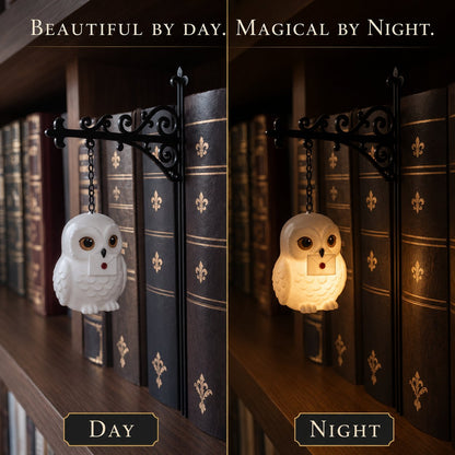 🔥 LIMITED TIME 49% OFF – 📚✨ Enchanted Hanging Bookshelf Light | Soft Ambient Lantern Glow for Reading Nooks, Bookcases & Cozy Book Lover Gifts 🕯️