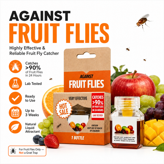 🏆Buy 2 Get 1 Free🔥Fruit Fly Traps- safe for children and pets