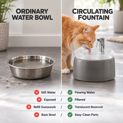 Filtered Cat Water Fountain – Circulating Pet Drinking Station