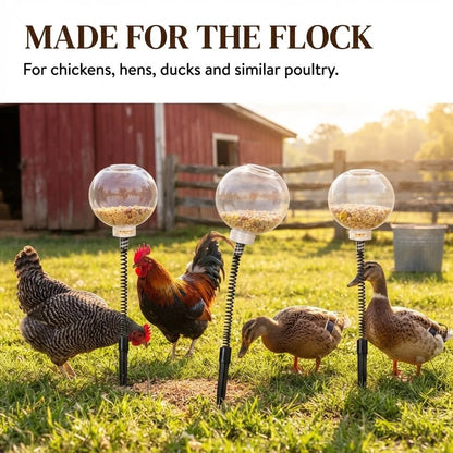 📍Interactive Swinging Chicken Feeder Toy