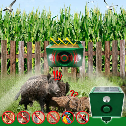 Powerful Solar Predator Deterrent Lights for Enhanced Protection