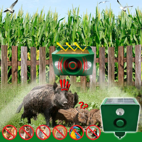 Powerful Solar Predator Deterrent Lights for Enhanced Protection