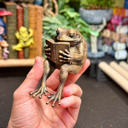 🐸Last Day 60% OFF - Reading Frog Shelf Sitter