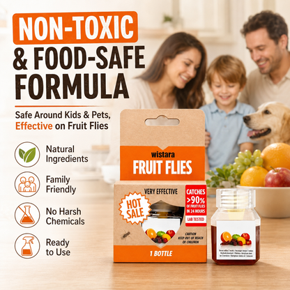 🏆Buy 2 Get 1 Free🔥Fruit Fly Traps- safe for children and pets