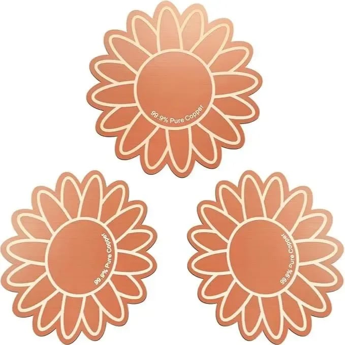 3Pcs Copper Cleaning Discs for Bird Baths