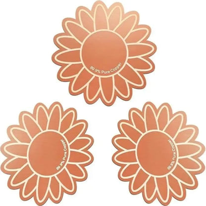 3Pcs Copper Cleaning Discs for Bird Baths