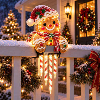 🎄Christmas Character Railing Lights😍