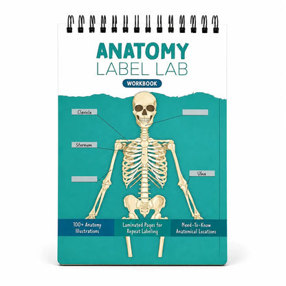 Anatomy Label Lab Workbook – Reusable Anatomy Study Guide