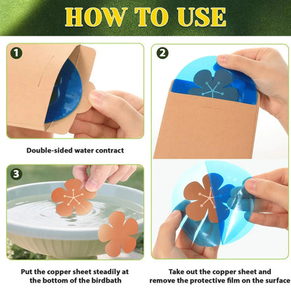 3Pcs Copper Cleaning Discs for Bird Baths