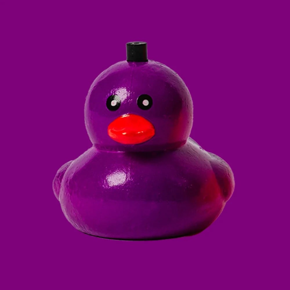 🔥 LAST DAY 49% OFF – 🦆 Reel QuackersTM Duck Fishing Bobber | Colorful Easy-to-Use Fishing Float for Kids, Families & Anglers 🎣✨