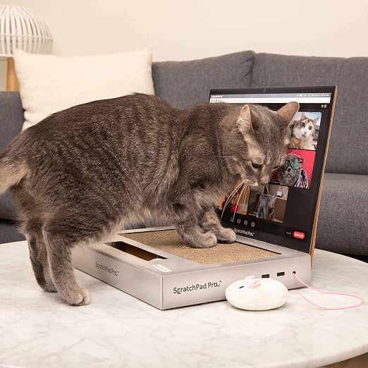 🐱Cardboard Laptop Cat Scratcher, Interactive Cat Toys for Indoor Cats, Kitten Supplies and Cat Stuff