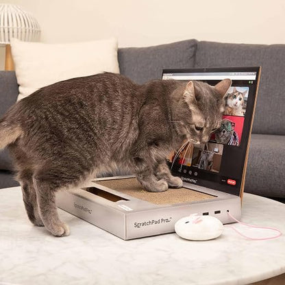 🐱Cardboard Laptop Cat Scratcher, Interactive Cat Toys for Indoor Cats, Kitten Supplies and Cat Stuff