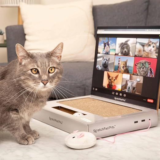 🐱Cardboard Laptop Cat Scratcher, Interactive Cat Toys for Indoor Cats, Kitten Supplies and Cat Stuff