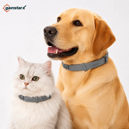 Adjustable Dog Collar with Fresh Scent Comfortable Lightweight Pet Collar