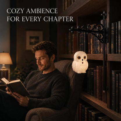 🔥 LIMITED TIME 49% OFF – 📚✨ Enchanted Hanging Bookshelf Light | Soft Ambient Lantern Glow for Reading Nooks, Bookcases & Cozy Book Lover Gifts 🕯️