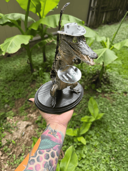 🐊 Cocne Aligator Figurine / Collectible