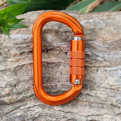 25KN Auto-Locking Carabiner
