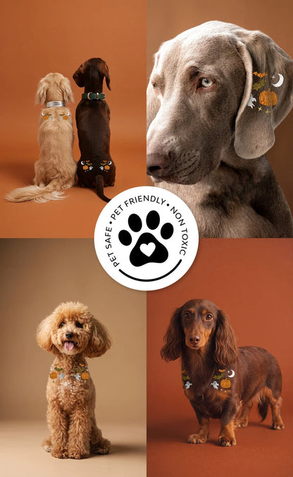 💫Temporary Dog Fur Tattoos – Waterproof, Pet-Safe & Easy to Remove | 4 Patches Per Pack🐾
