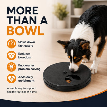 3-in-1 Dog Enrichment Feeder