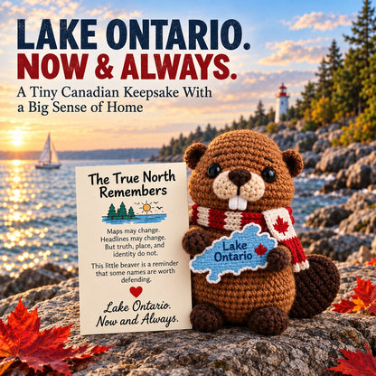 🦫 Lake Ontario Emotional Support Beaver Crochet Keepsake | 5 Canadian-Inspired Personalities with Matching Message Cards for Cottage Families, Lake Lovers & Meaningful Gifts 🍁