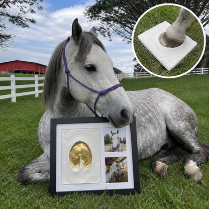 🐴 Horse Hoofprint & Family Keepsake Clay Kit – For Paws, Hands & Footprints🖼️Made by You & Personalise It Your Way💛