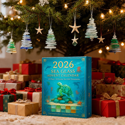 🎉🌊2026 Advent Calendar · Ocean Treasures