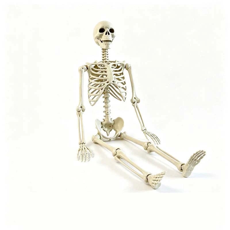 (🎁Last Day 49% OFF)💀Backseat Bones-Skeleton passenger