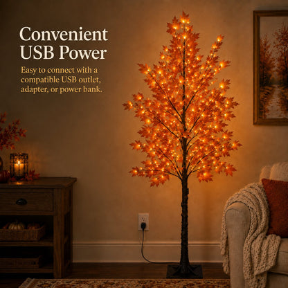 Lighted Autumn Maple Tree