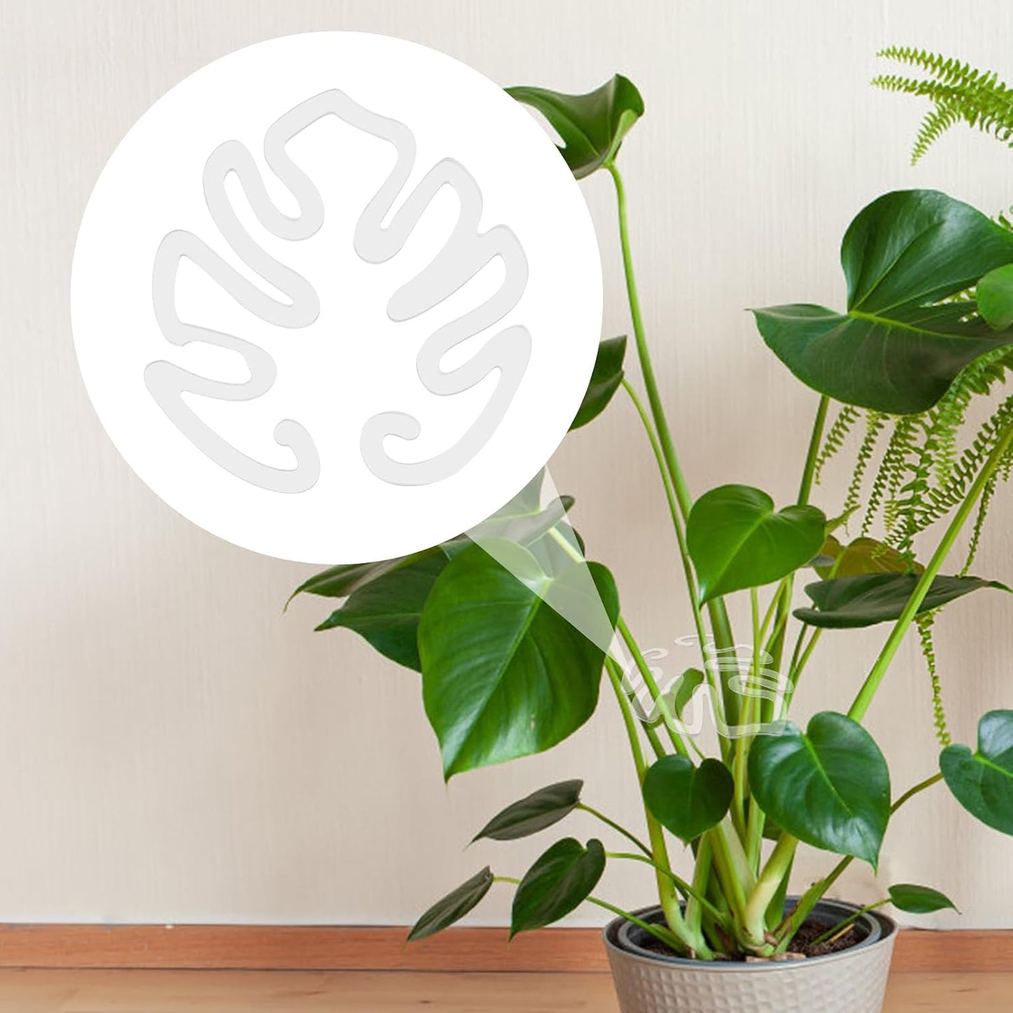Clear Monstera Leaf Acrylic Plant Support Stake | Invisible Stem Support for Indoor Potted Plants 🌿