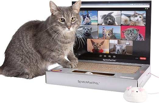 🐱Cardboard Laptop Cat Scratcher, Interactive Cat Toys for Indoor Cats, Kitten Supplies and Cat Stuff