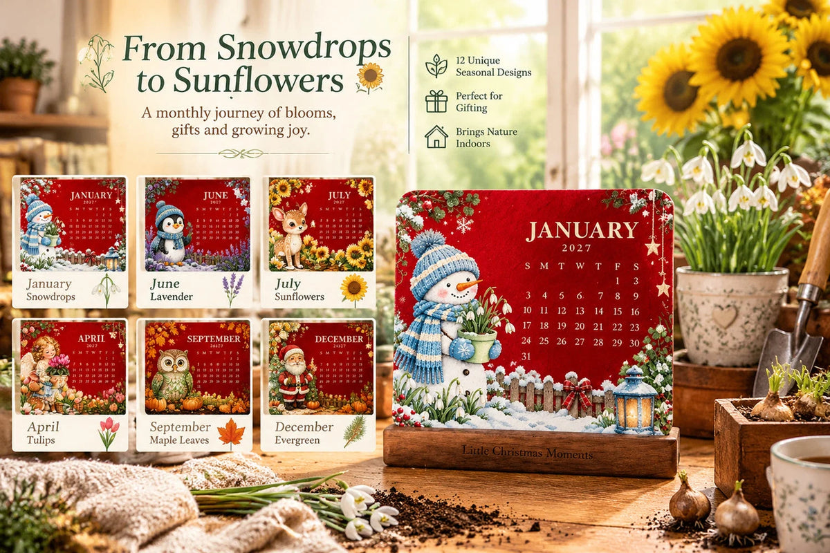 🎄🗓️ Christmas Limited-Edition — 🪴✨ Eco-Friendly Plantable “Timeless” Seed Calendar 2027