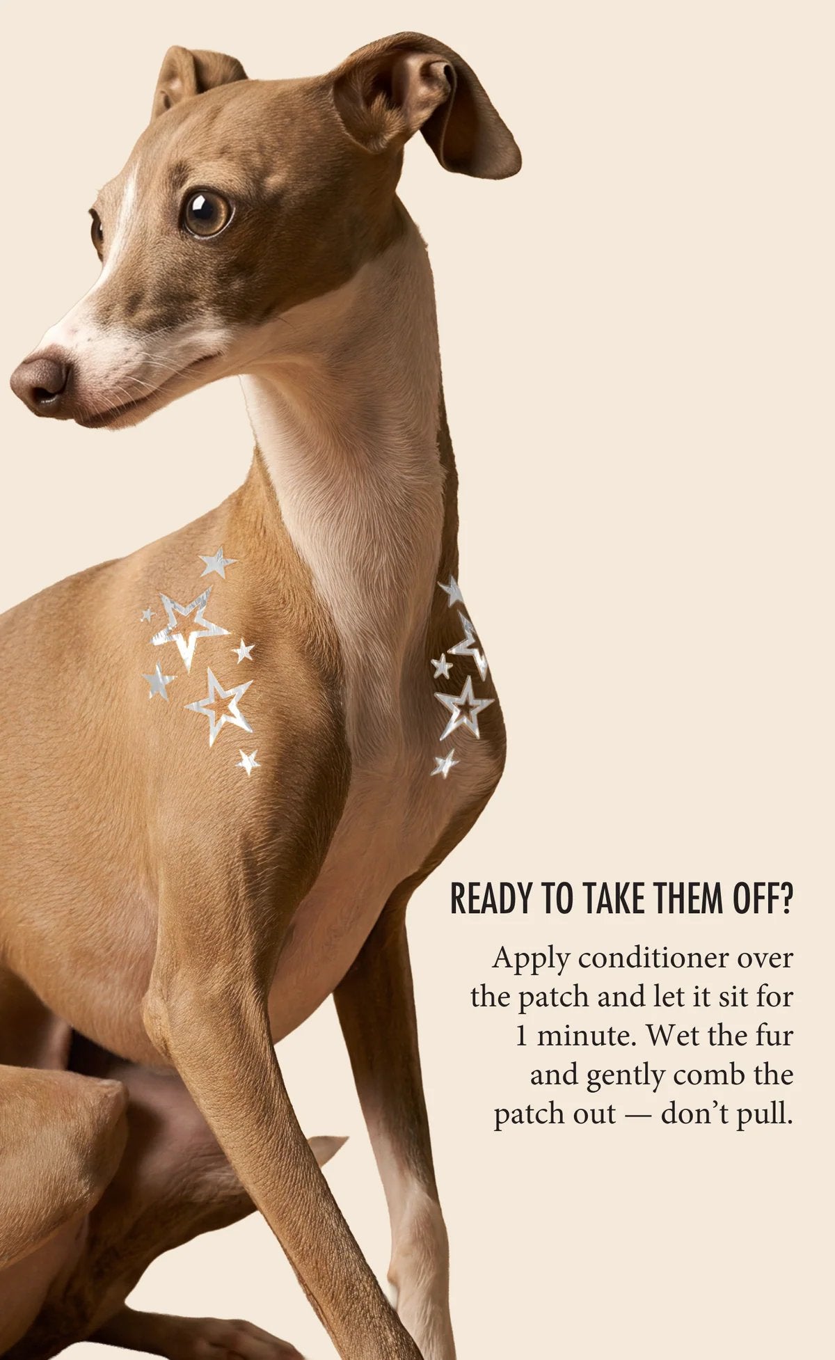 💫Temporary Dog Fur Tattoos – Waterproof, Pet-Safe & Easy to Remove | 4 Patches Per Pack🐾