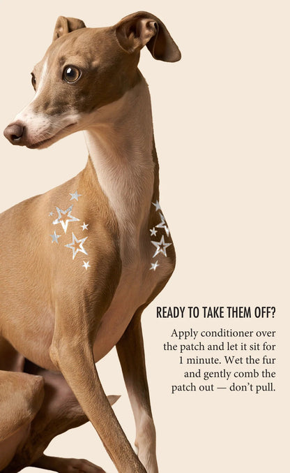 💫Temporary Dog Fur Tattoos – Waterproof, Pet-Safe & Easy to Remove | 4 Patches Per Pack🐾