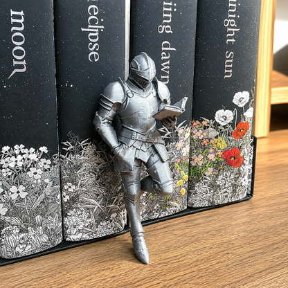 🎁Last Day 60% OFF - Medieval Knight Book Nook