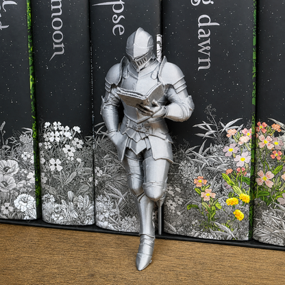 🎁Last Day 60% OFF - Medieval Knight Book Nook