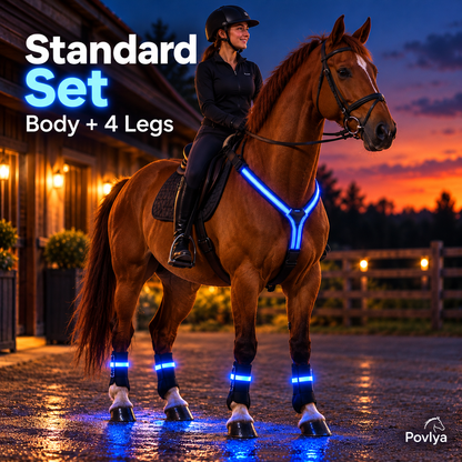 🐴 LED Horse Light Set – Glowing Chest, Leg & Tail Accessories
