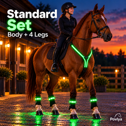 🐴 LED Horse Light Set – Glowing Chest, Leg & Tail Accessories