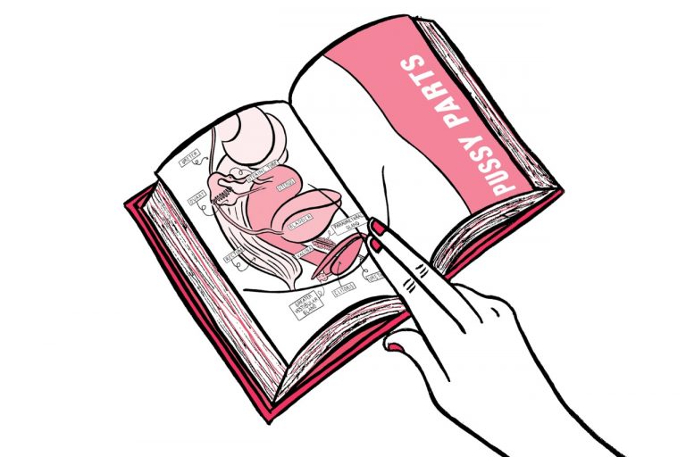 ✨Pussypedia: A Comprehensive Guide📖